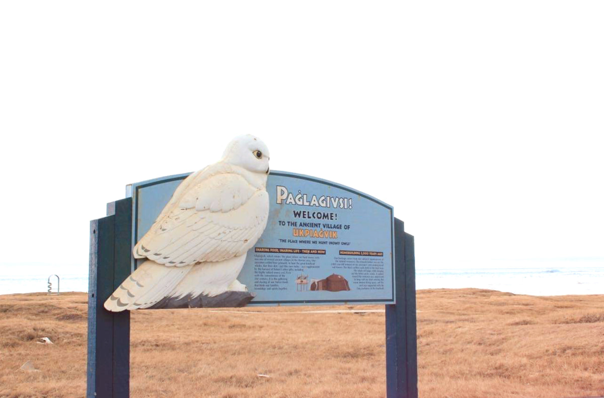 Tours to the Northernmost Point in the United States Utqiagvik, Alaska ...